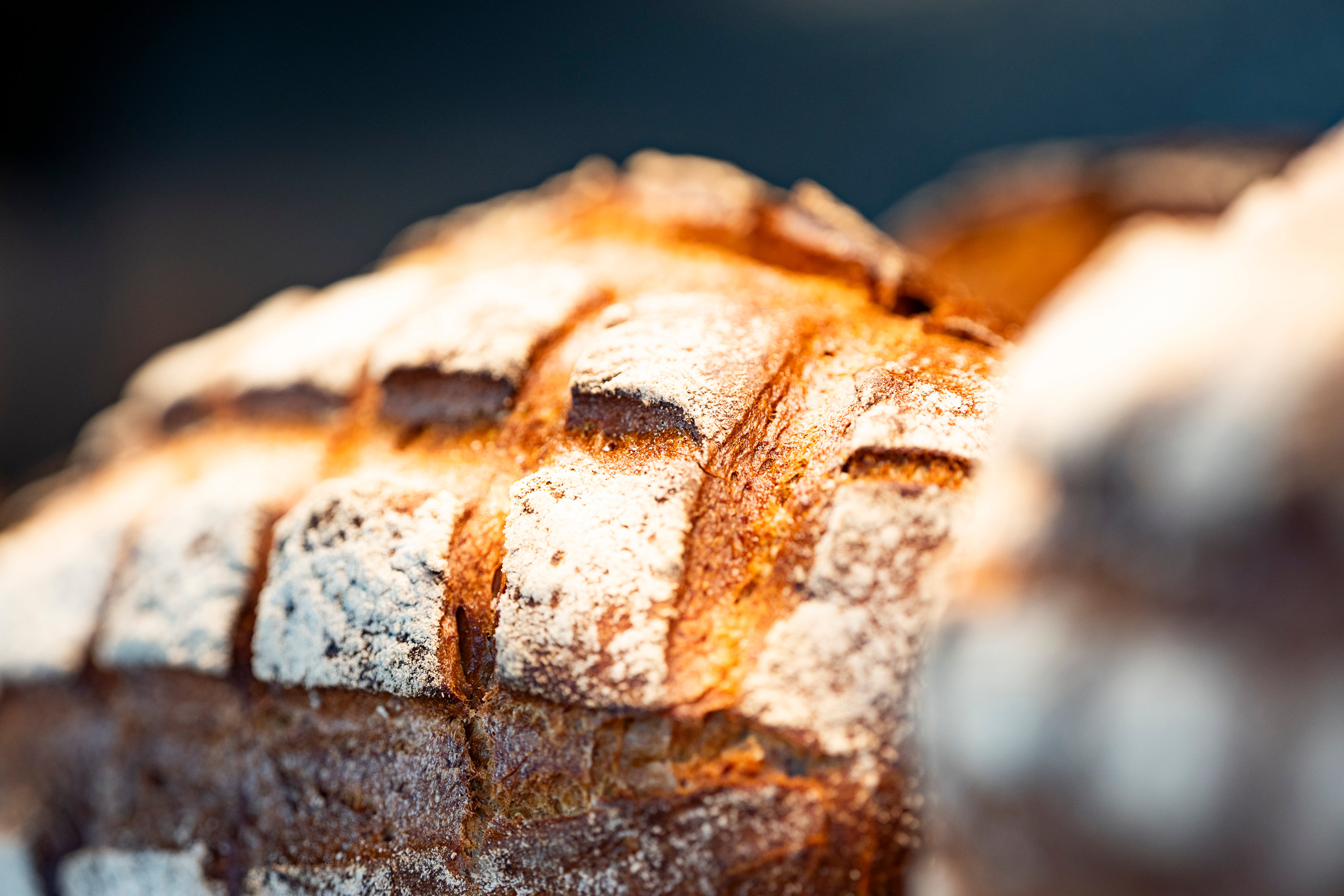 Handwerklich gebackenes Brot mit goldbrauner Kruste – Bäckerei Brotzeit Rostock